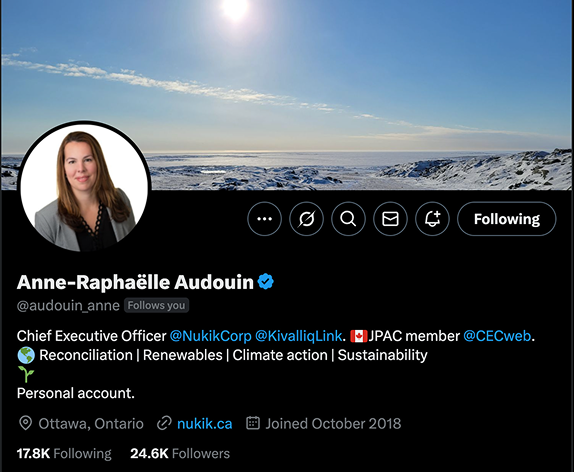 Anne-Raphaelle Audouin Twitter Page
